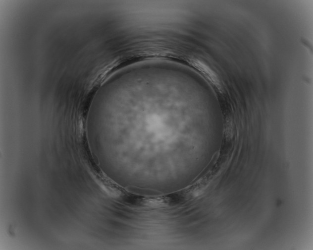 X0000093440405200710121337