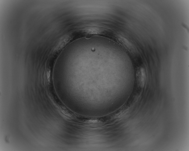X0000093440406200710121337