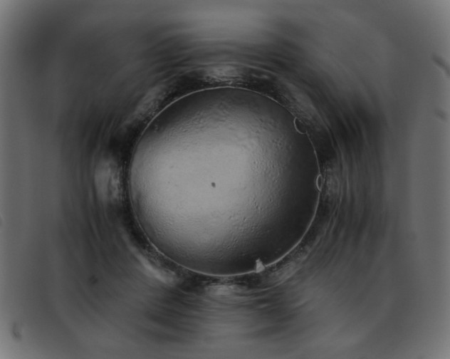 X0000093440408200710121337
