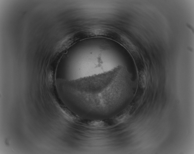 X0000093440410200710121337