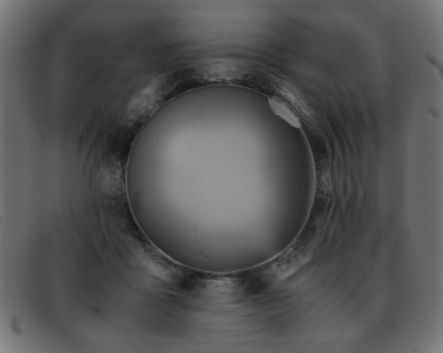 X0000093440411200710121337