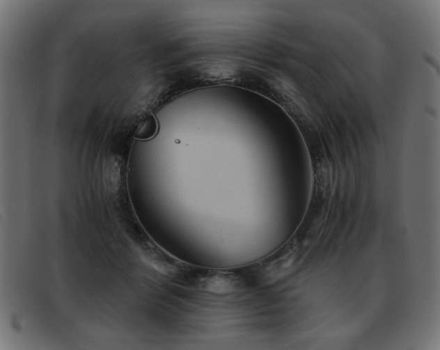X0000093440412200710121337