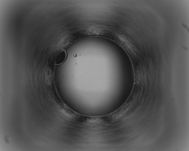 X0000093440414200710121337