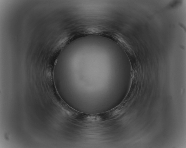 X0000093440415200710121337
