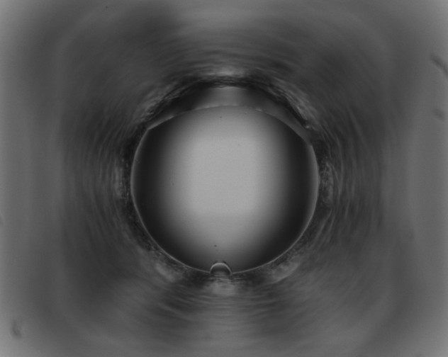 X0000093440416200710121337