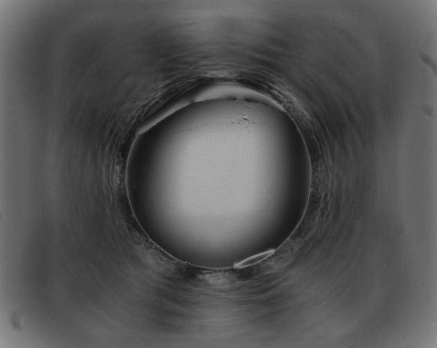 X0000093440417200710121337