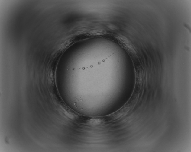 X0000093440418200710121337