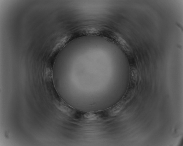X0000093440419200710121337