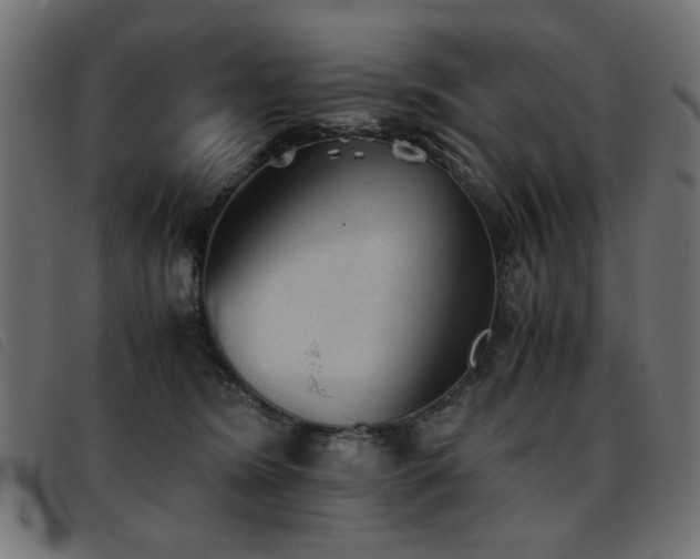 X0000093440420200710121337