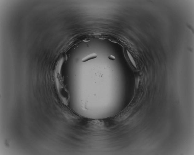 X0000093440421200710121337
