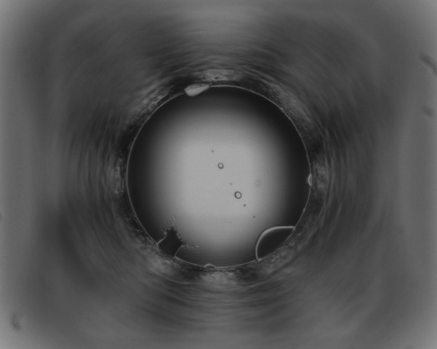 X0000093440422200710121337
