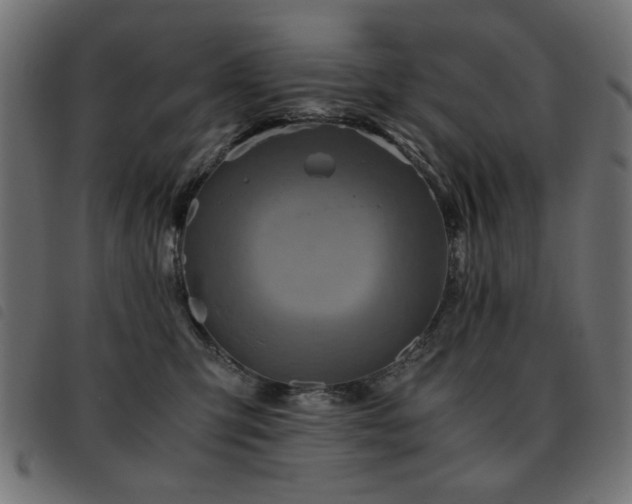 X0000093440423200710121337