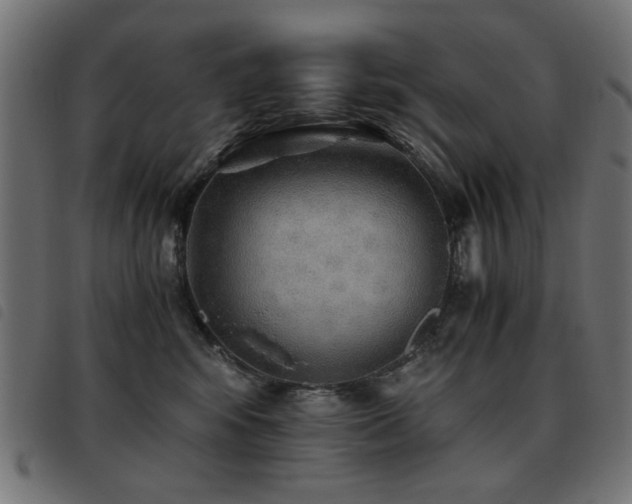 X0000093440424200710121337