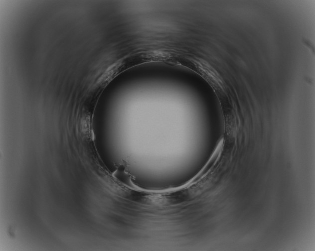 X0000093440425200710121337