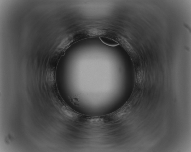 X0000093440426200710121337