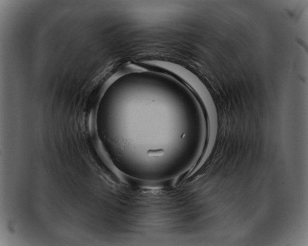 X0000093440428200710121337