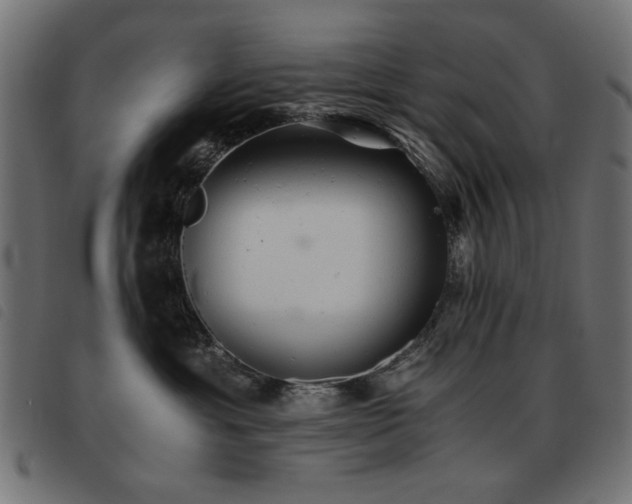 X0000093440429200710121337