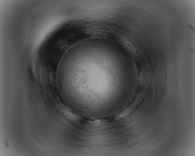 X0000093440430200710121337