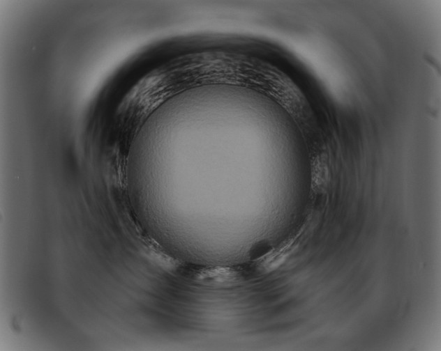 X0000093440431200710121337