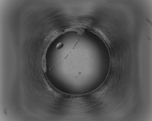 X0000093440433200710121336
