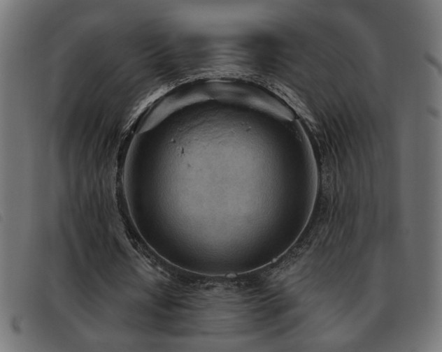 X0000093440434200710121336
