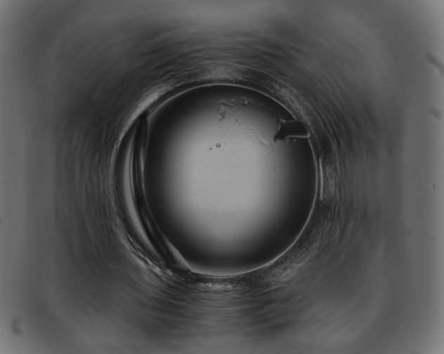 X0000093440435200710121336
