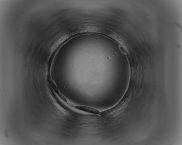 X0000093440437200710121336