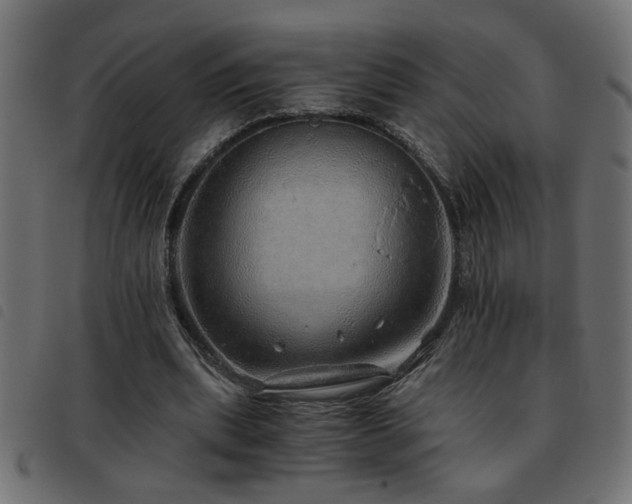 X0000093440439200710121336