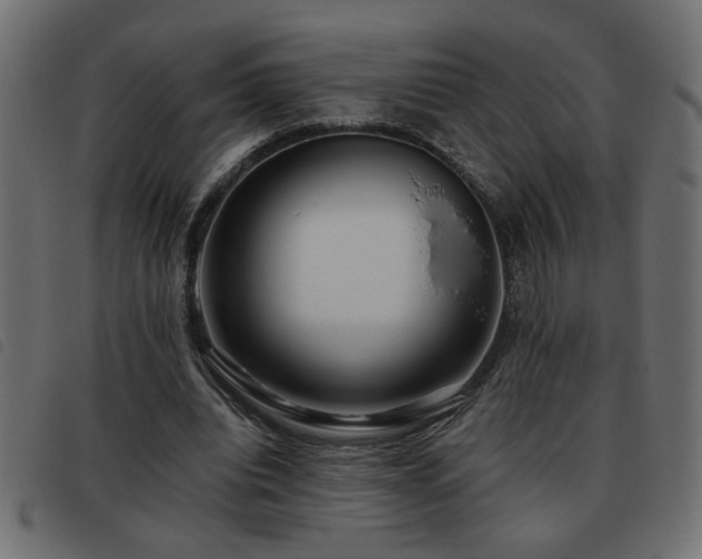 X0000093440440200710121336