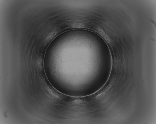 X0000093440441200710121336