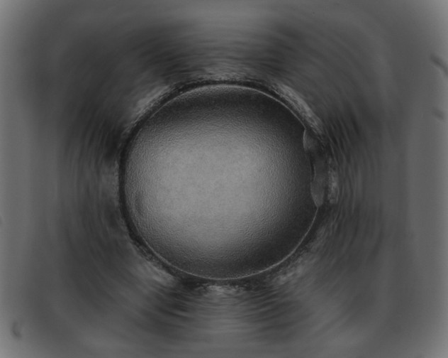 X0000093440442200710121336