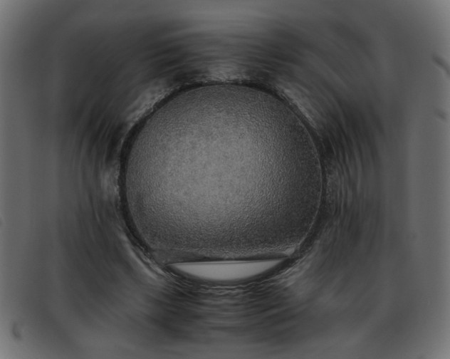 X0000093440443200710121336