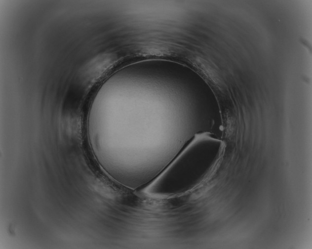 X0000093440444200710121336