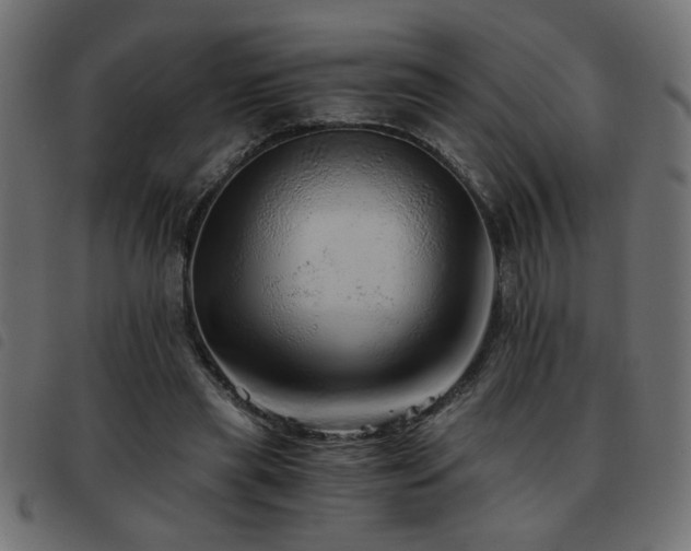 X0000093440445200710121336