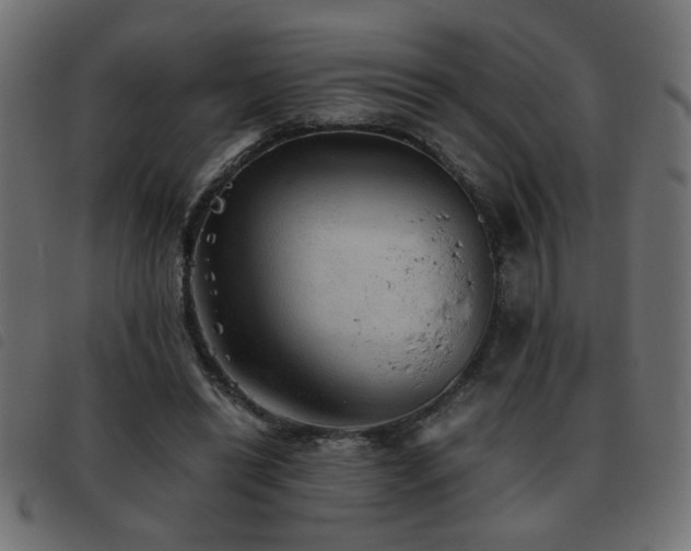 X0000093440446200710121336