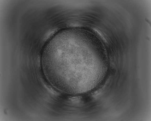 X0000093440447200710121336