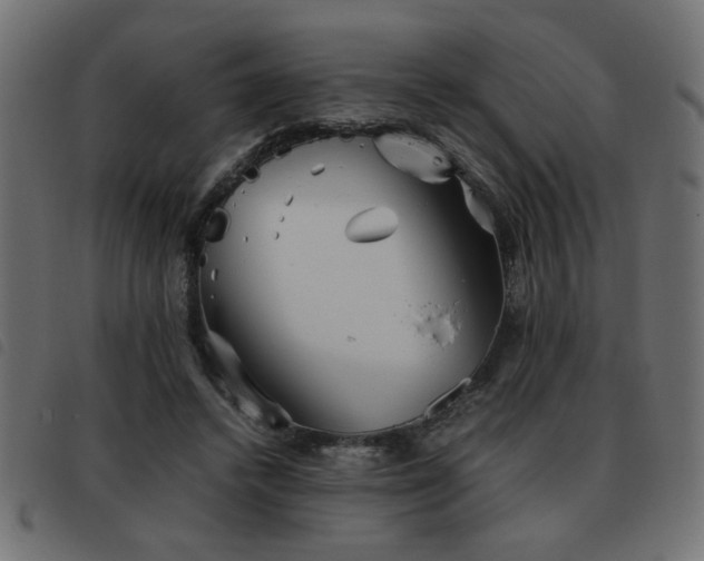 X0000093440448200710121336