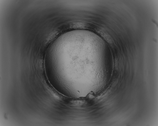 X0000093440449200710121336