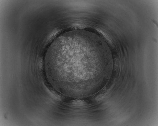 X0000093440451200710121336