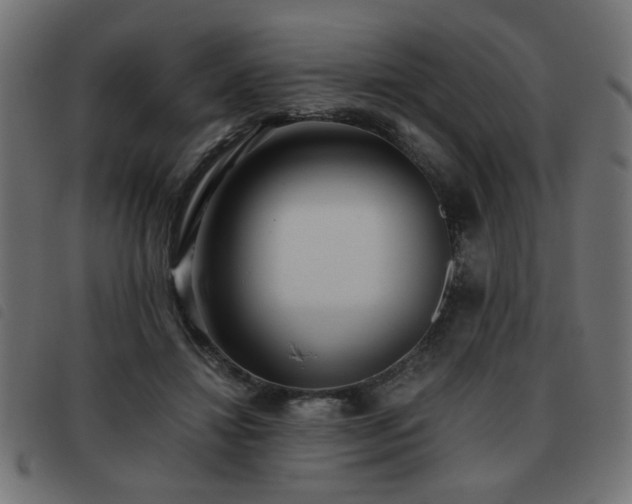 X0000093440452200710121336