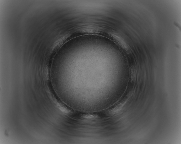 X0000093440453200710121336