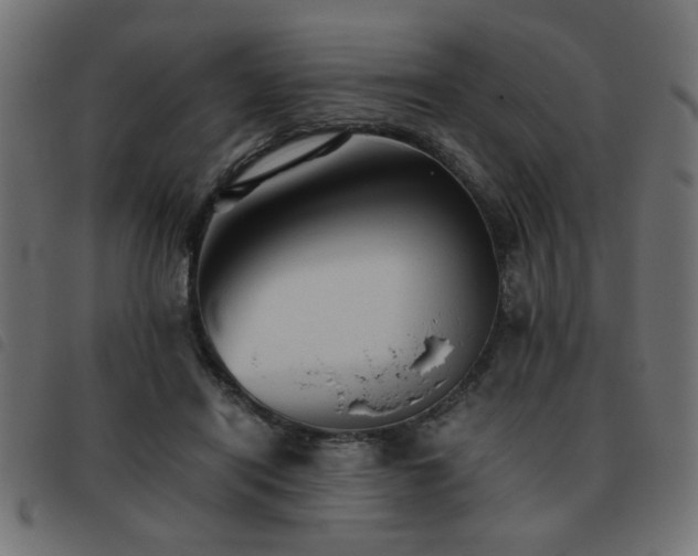 X0000093440454200710121336