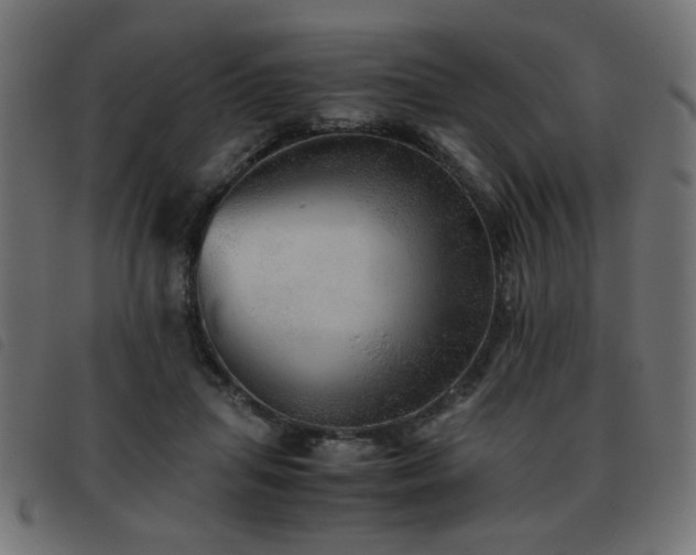 X0000093440455200710121336
