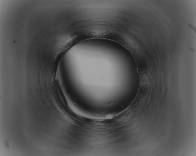X0000093440456200710121336
