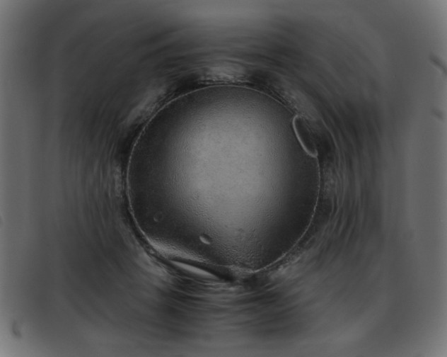 X0000093440457200710121336