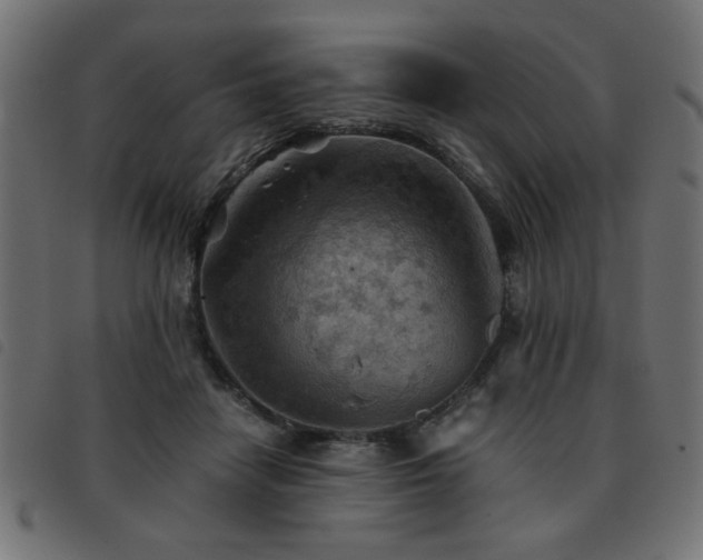 X0000093440458200710121336