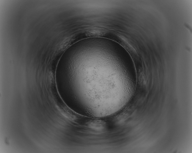 X0000093440459200710121336