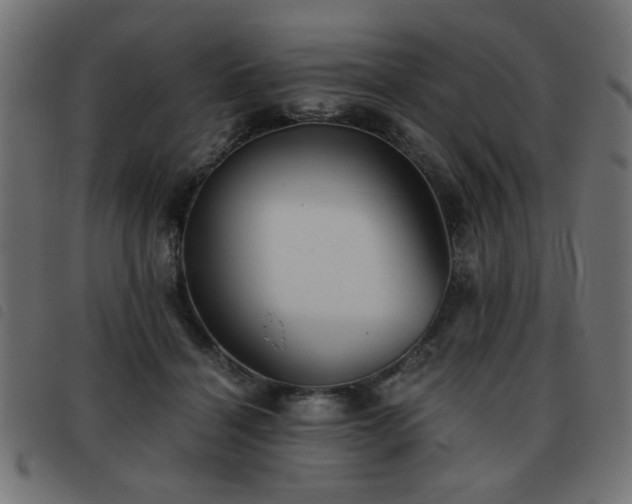 X0000093440460200710121336