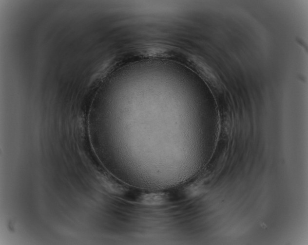 X0000093440461200710121336