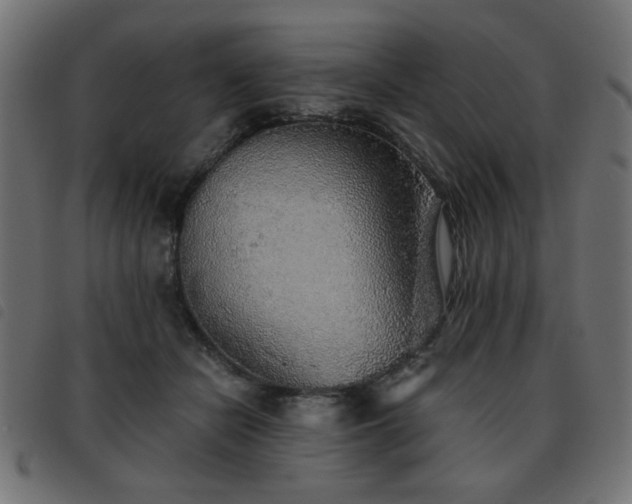 X0000093440462200710121337